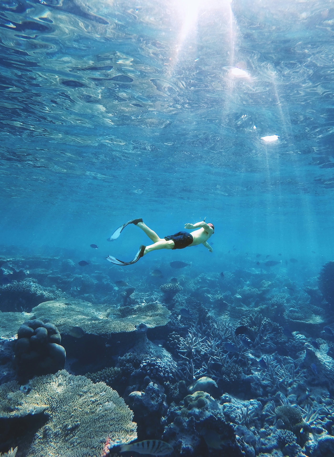 Ocean adventures at Playa Grande